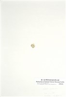藏品(球法囊藻)的圖片